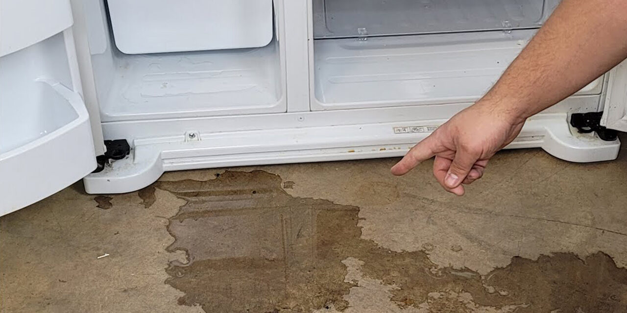 kholodilnik-protekaet