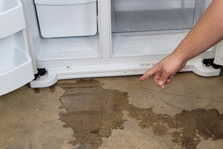 kholodilnik-protekaet