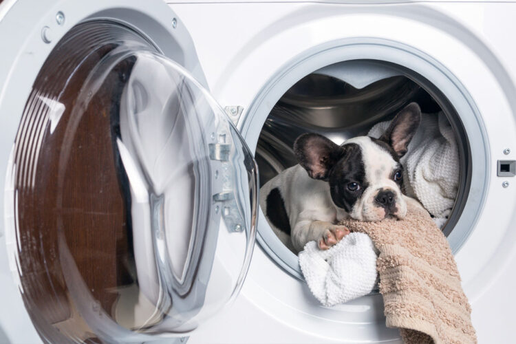 nestandartnyj-remont-stiralnoj-mashiny nestandartnyj-remont-stiralnoj-mashiny